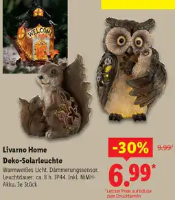 Lidl Livarno Home Deko-Solarleuchte Angebot