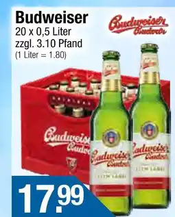 Getränke City Budweiser budweiser Angebot