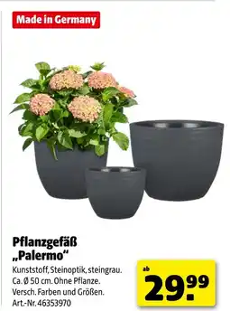 Hagebau Pflanzgefäß palermo Angebot