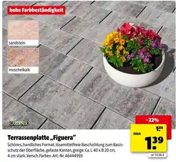 Hagebau Mr. gardener terrassenplatte „figuera“ Angebot