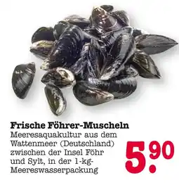 E-Center Frische föhrer-muscheln Angebot