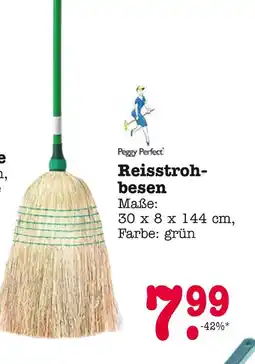 E-Center Peggy perfect reisstrohbesen Angebot