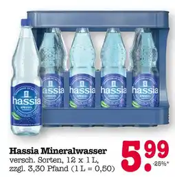 E-Center Hassia mineralwasser Angebot