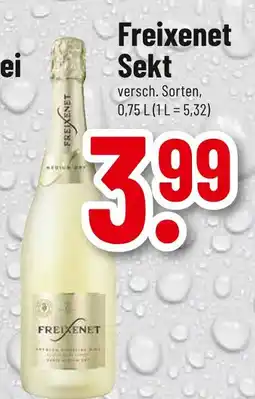 trinkgut Freixenet sekt Angebot