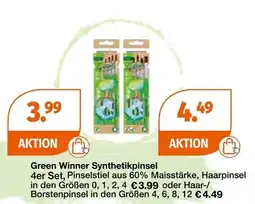 Müller Green winner synthetikpinsel Angebot