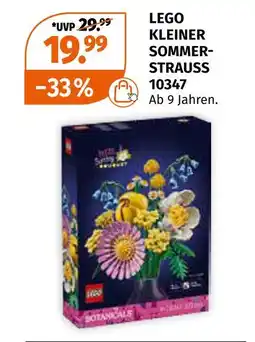 Müller Lego kleiner sommerstrauss 10347 Angebot