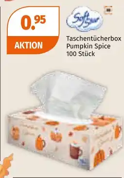 Müller Softis taschentücherbox pumpkin spice Angebot