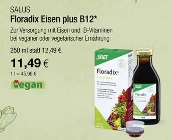 Vitalia Salus floradix eisen plus b12 Angebot