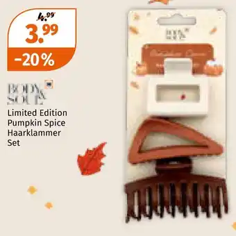 Müller Body & soul limited edition pumpkin spice haarklammer set Angebot