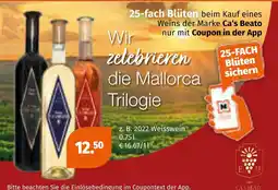 Müller Ca's beato 2022 weisswein Angebot