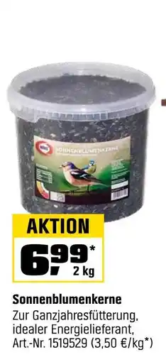 OBI Sonnenblumenkerne Angebot