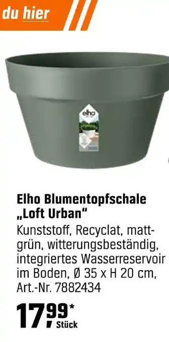 OBI Elho blumentopfschale loft urban Angebot