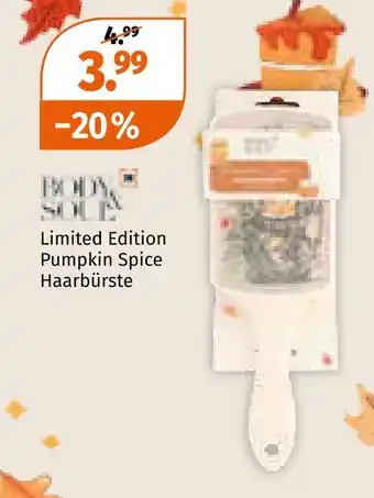 Müller Body & soul limited edition pumpkin spice haarbürste Angebot