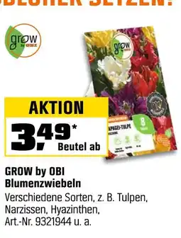 OBI Grow by obi blumenzwiebeln Angebot