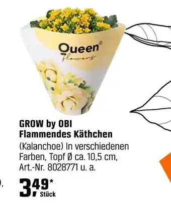 OBI Grow by ob flammendes käthchen Angebot