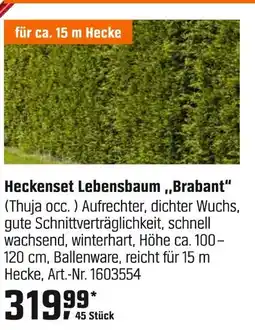 OBI Heckenset lebensbaum 'brabant' Angebot