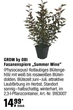 OBI Grow by obi fasanenspiere „summer wine“ Angebot