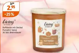 Müller Living duftkerze Angebot