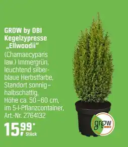 OBI Grow by obi kegelzypresse „ellwoodii“ Angebot