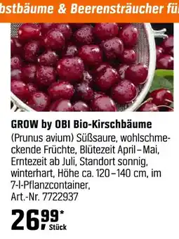 OBI Grow by obi bio-kirschbäume Angebot