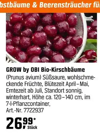 OBI Grow by obi bio-kirschbäume Angebot