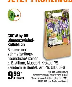 OBI Grow by obi blumenzwiebel-kollektion Angebot