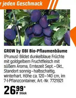 OBI Grow by obi bio-pflaumenbäume Angebot