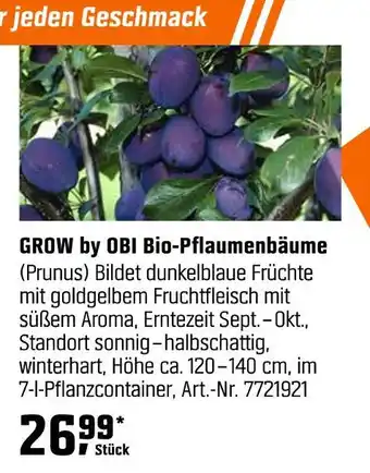 OBI Grow by obi bio-pflaumenbäume Angebot