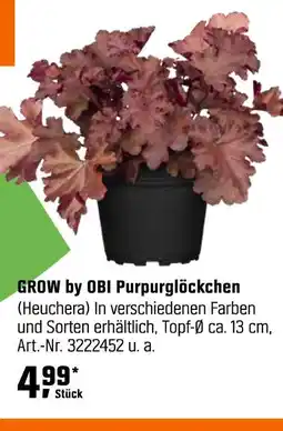 OBI Grow by obi purpurglöckchen (heuchera) Angebot