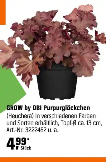 OBI Grow by obi purpurglöckchen (heuchera) Angebot