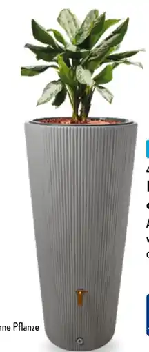 Aldi Nord 4rain Regenspeicher Vaso Angebot