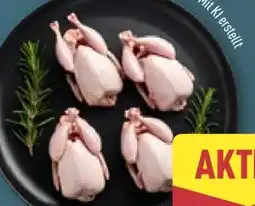 Aldi Nord Gourmet Finest Cuisine Wachteln Angebot