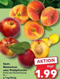 Kaufland Span. Nektarinen oder Plattpfirsiche Angebot