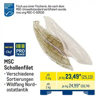METRO MSC Schollenfilet Angebot
