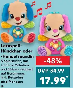 Kaufland Lernspaß Hündchen oder Hundefreundin Angebot