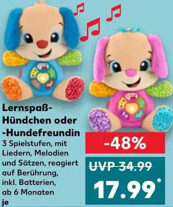 Kaufland Lernspaß Hündchen oder Hundefreundin Angebot