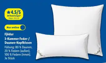 Lidl Fjödur 3-kammer feder-/daunen-kopfkissen Angebot