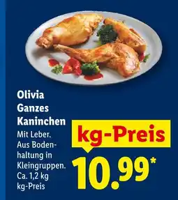Lidl Olivia ganzes kaninchen Angebot