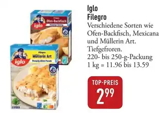 Galeria Markthalle Iglo Filegro Angebot