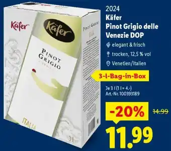 Lidl 2024 Käfer Pinot Grigio delle Venezie DOP Angebot