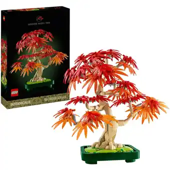Netto Marken-Discount LEGO Konstruktionsspielzeug Botanicals Japanischer Roter Ahorn - Bonsai-Baum Angebot