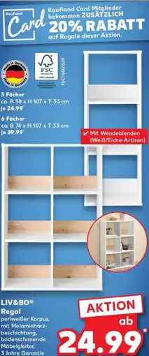 Kaufland LIV&BO Regal Angebot