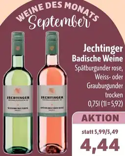 Aktiv Irma Jechtinger Badische Weine Angebot