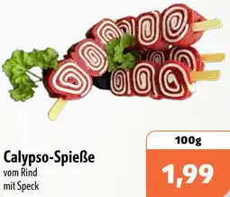 Aktiv Irma Calypso-Spieße Angebot