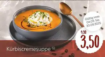 XXXLutz Kürbiscremesuppe Angebot