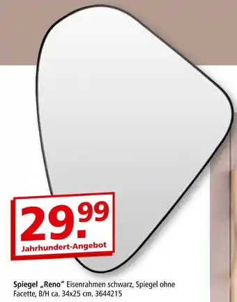 Segmüller Spiegel reno Angebot