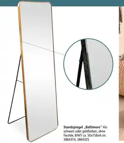 Segmüller Standspiegel baltimore Angebot