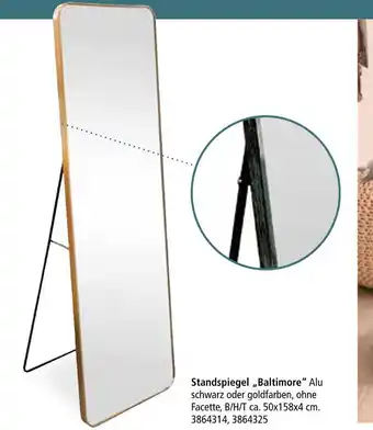Segmüller Standspiegel baltimore Angebot