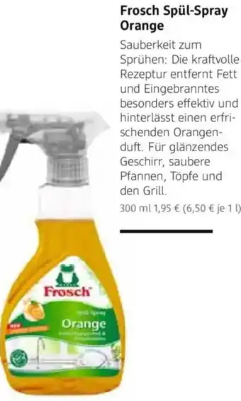 dm drogerie Frosch Spül-Spray Orange Angebot