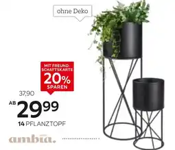 XXXLutz Ambia home pflanztopf Angebot